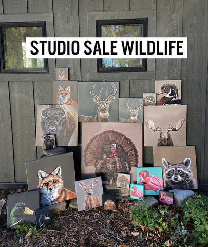 Wildlife Studio SALE!