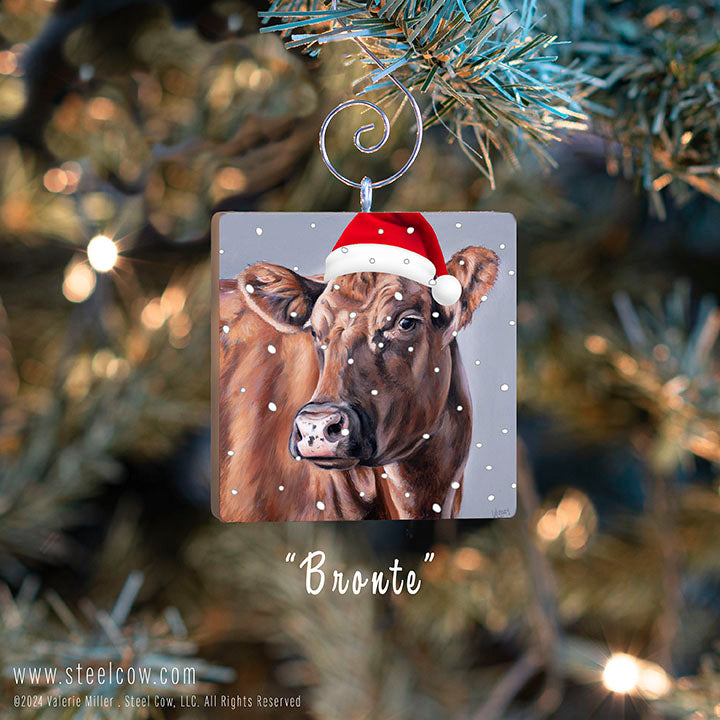 Holiday Ornaments
