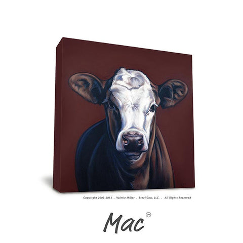 Mac