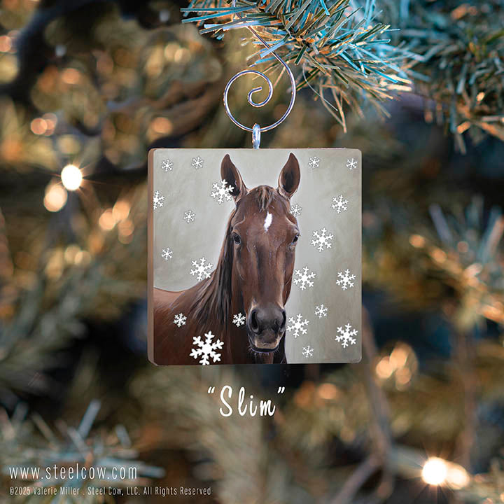 Holiday Ornaments