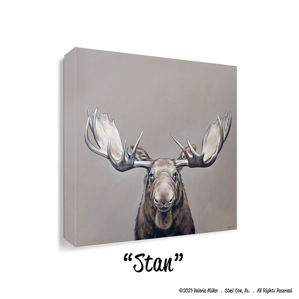 Stan
