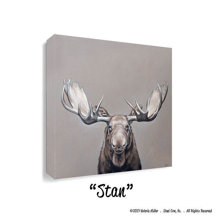 Stan