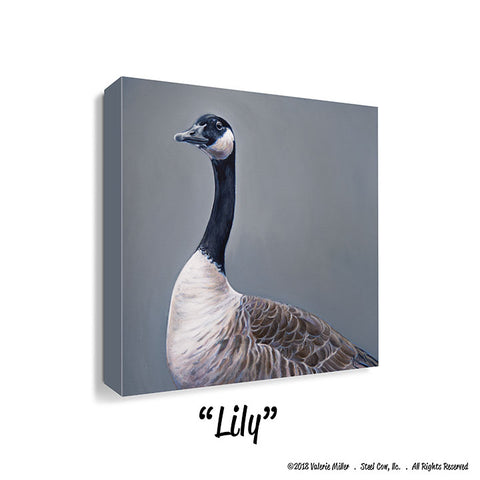 Canvas Prints 12"x12" (90+ images available)