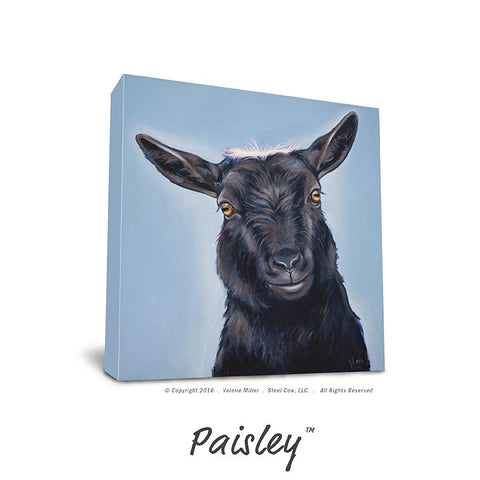 Paisley